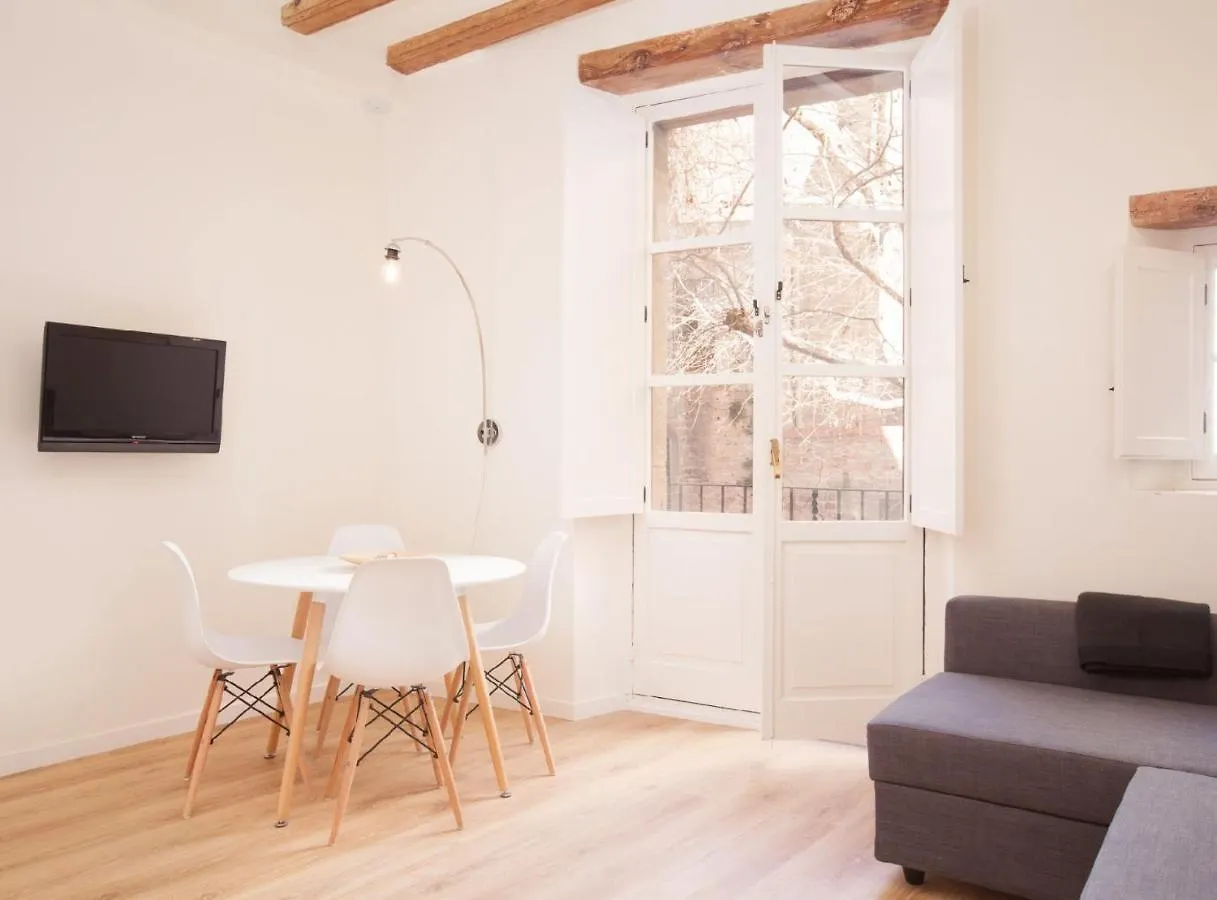 Apartamento Alsina - Historical Center - Barrio Gotico Barcelona